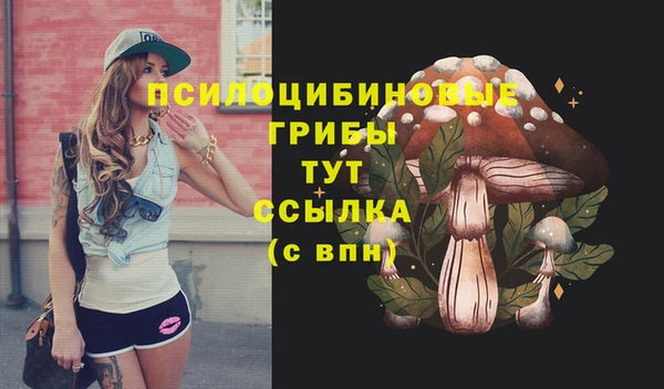 наркотики Белокуриха