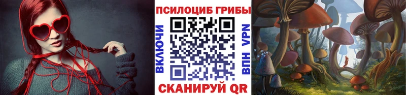 Галлюциногенные грибы Psilocybine cubensis  как найти   Салаир 
